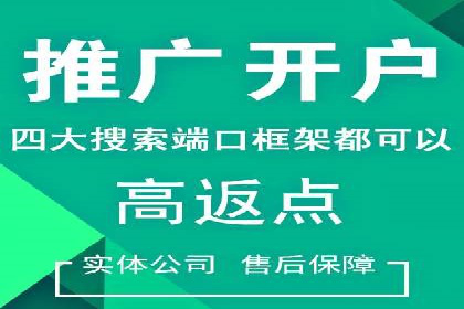 SEM竞价成功案例，经验分享与学习